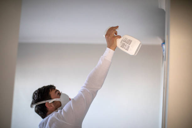 Best Black Mold Remediation in Bristow, OK