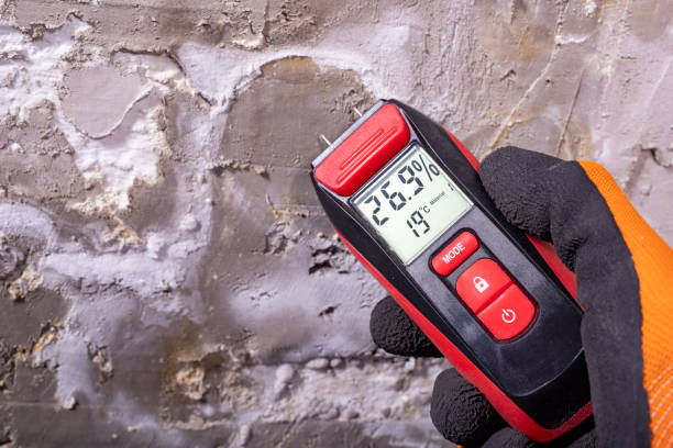 Best White Mold Remediation in Bristow, OK